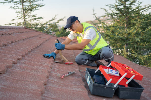 Best Roof Maintenance Services  in Meadowbrook, VA