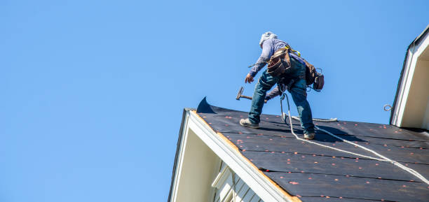 Best Roof Maintenance Services  in Meadowbrook, VA